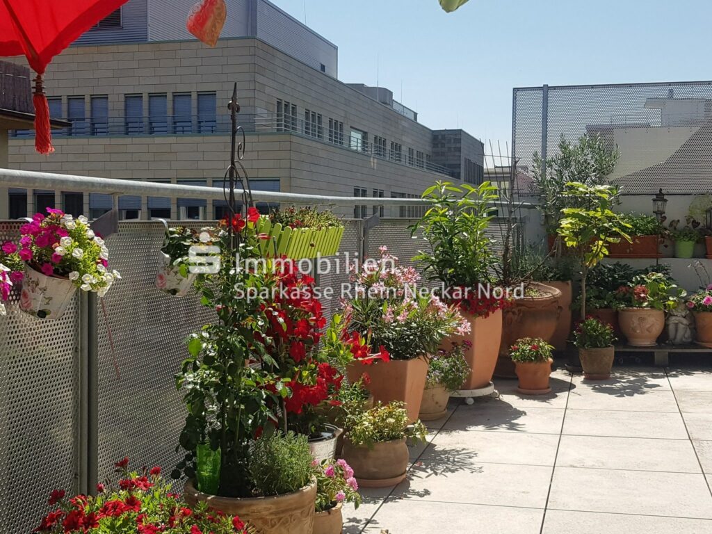 Dachterrasse