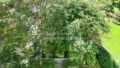 Blick vom Wintergarten aus
