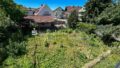 Bewachsener Garten mit Blick auf Nachbarhäuser