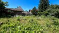 Großer, bewachsener Garten mit Bäumen