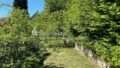 Gartenansicht Rückseite