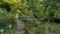 Gartenidylle mit viel Pflanzenbestand
