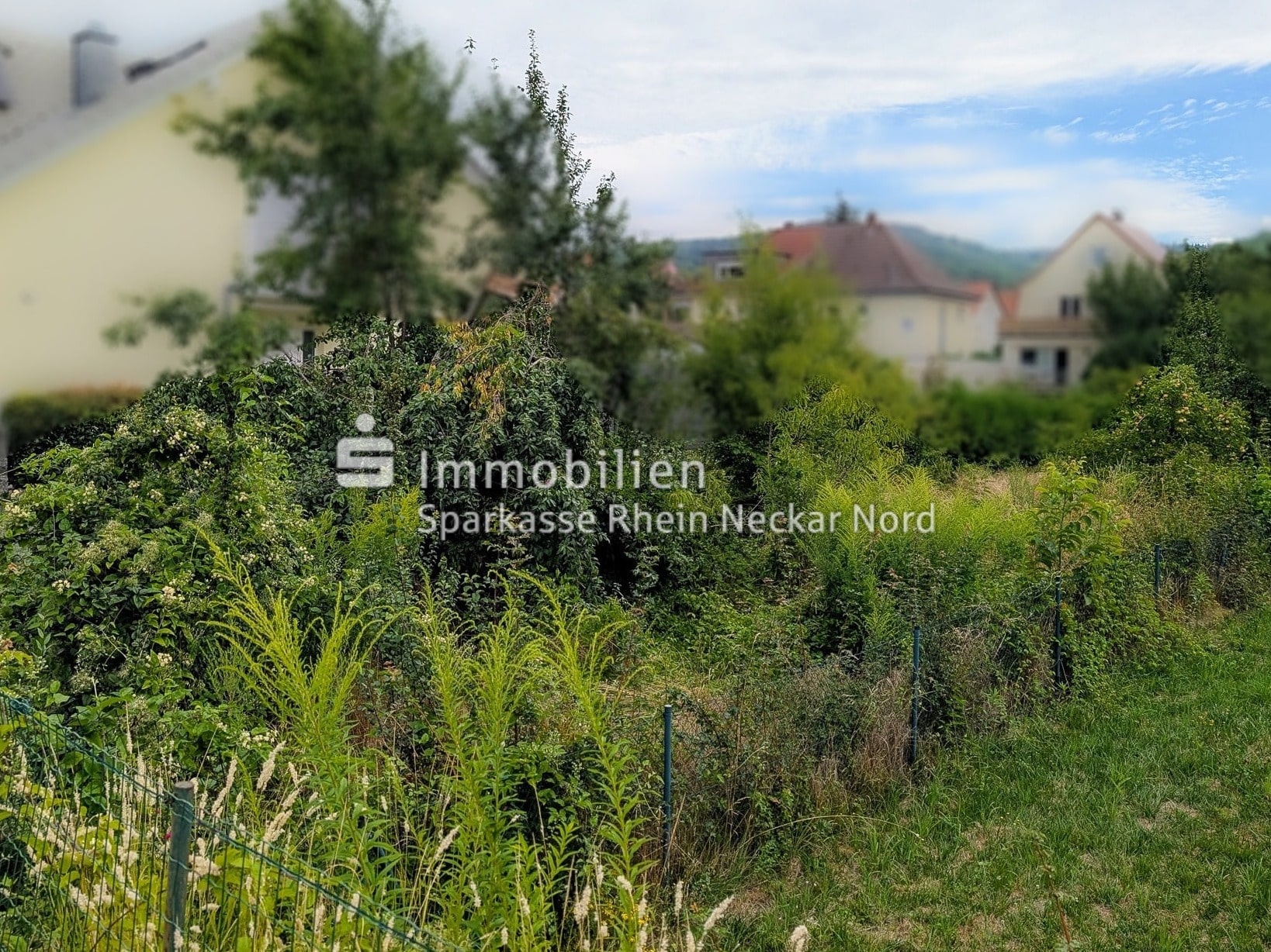 Die Bergstraße im Hintergrund