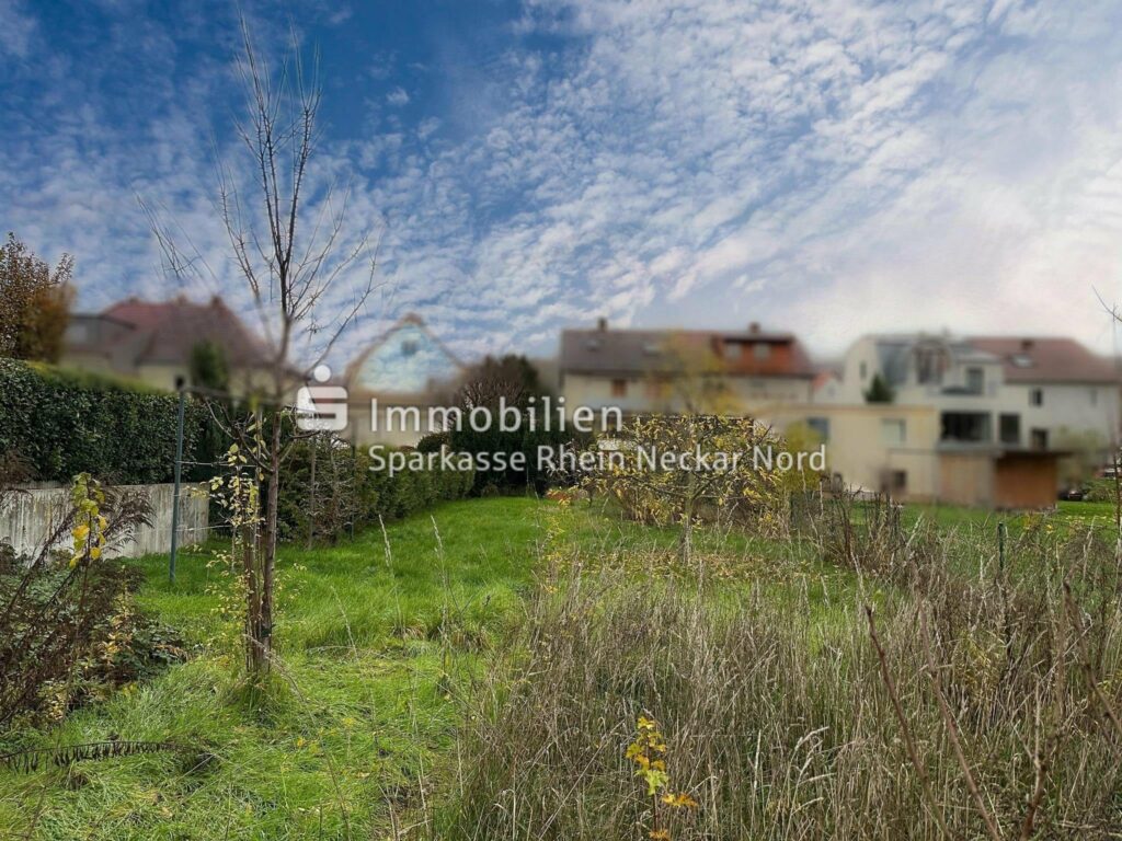 Blick vom Grundstück aus