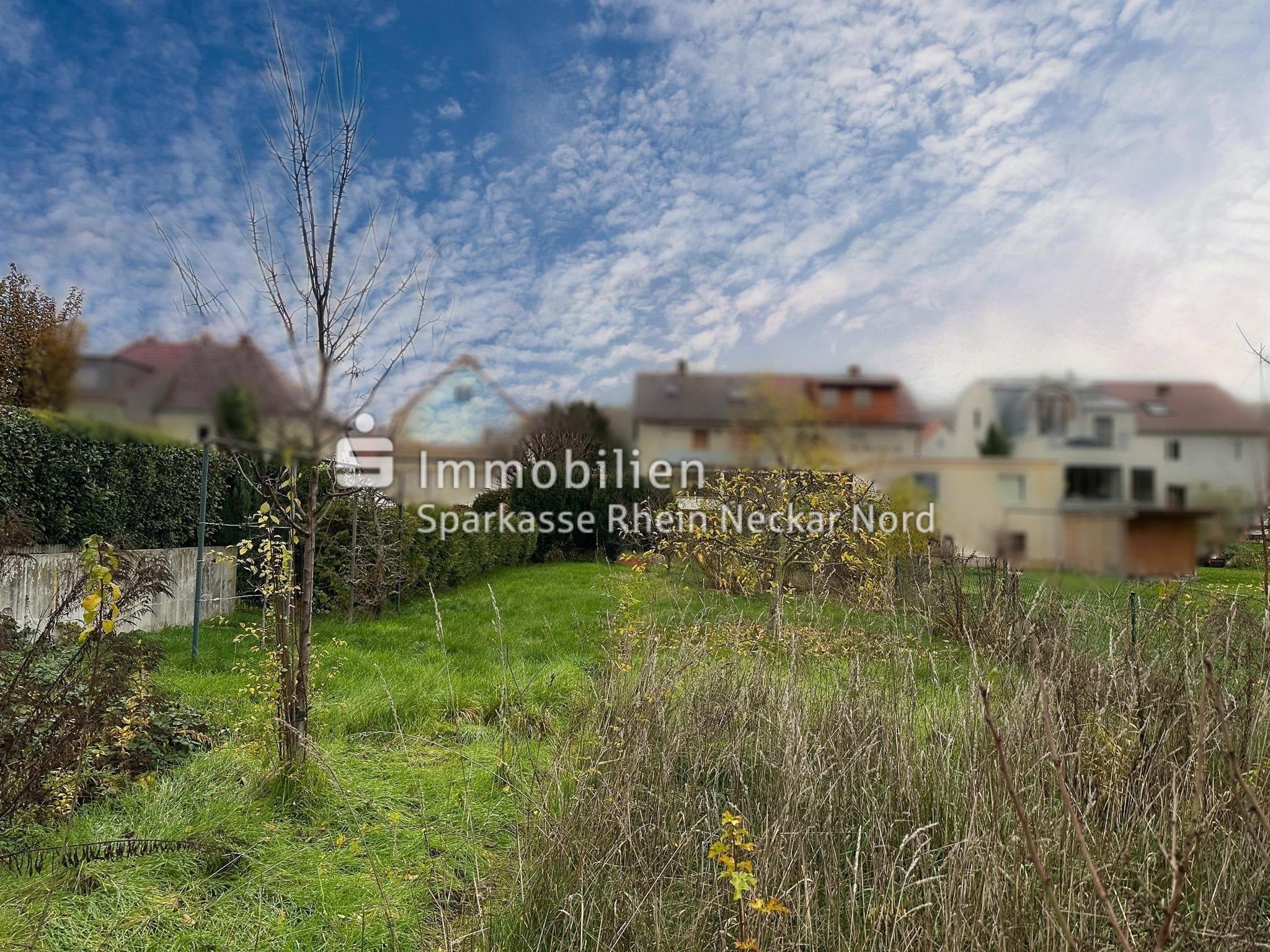 Blick vom Grundstück aus