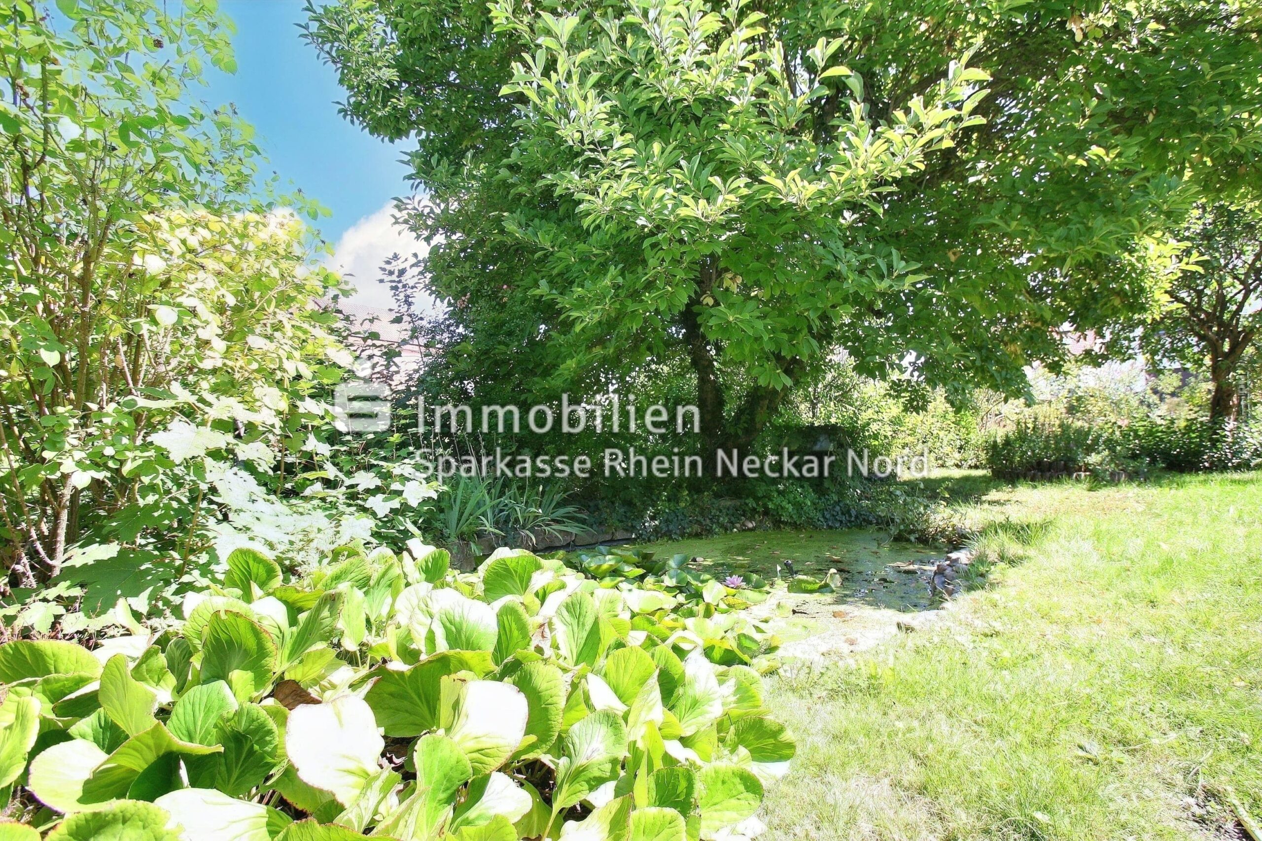 Teichanlage im Garten