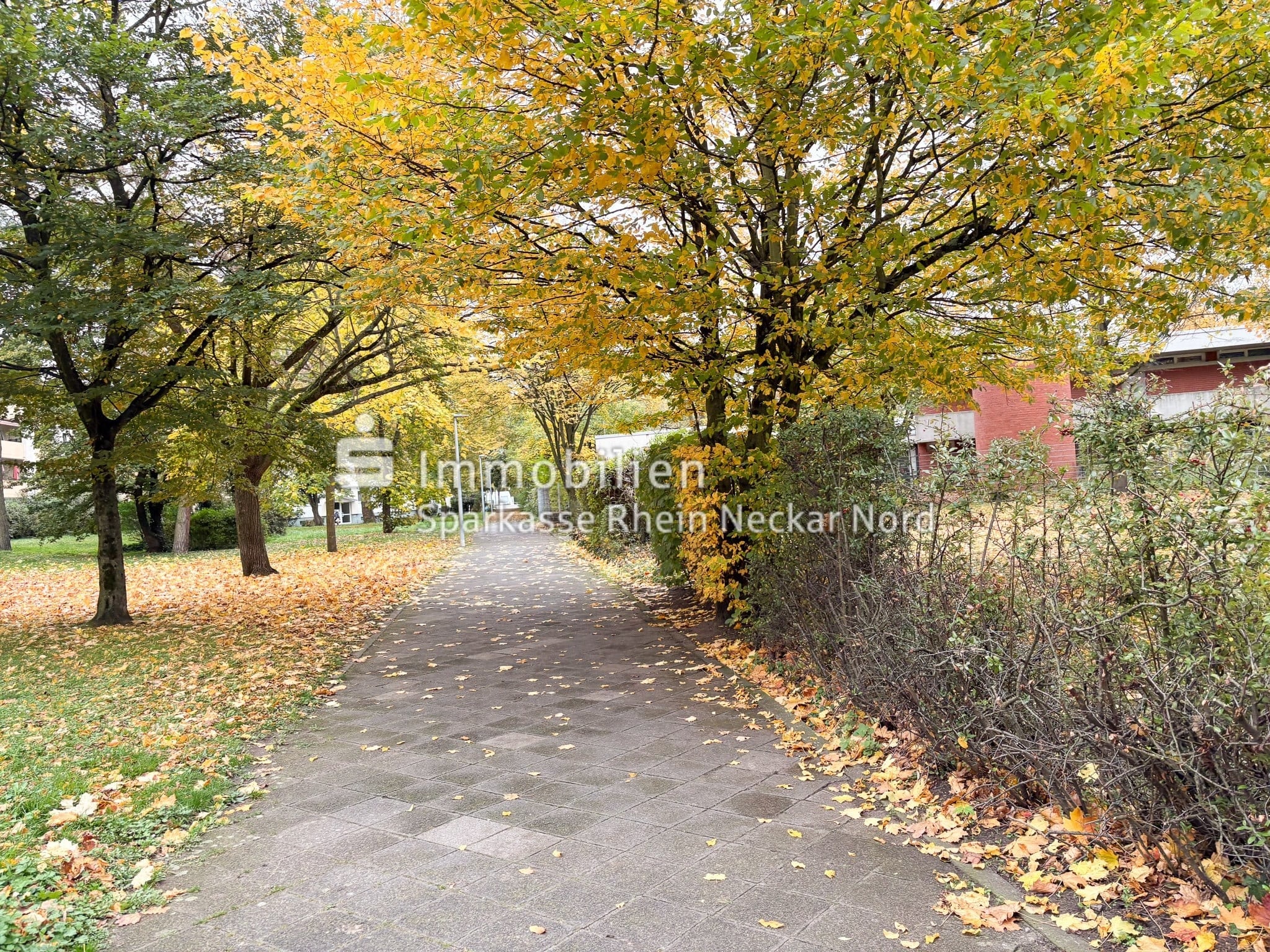 Foto der Immobilie (65335)