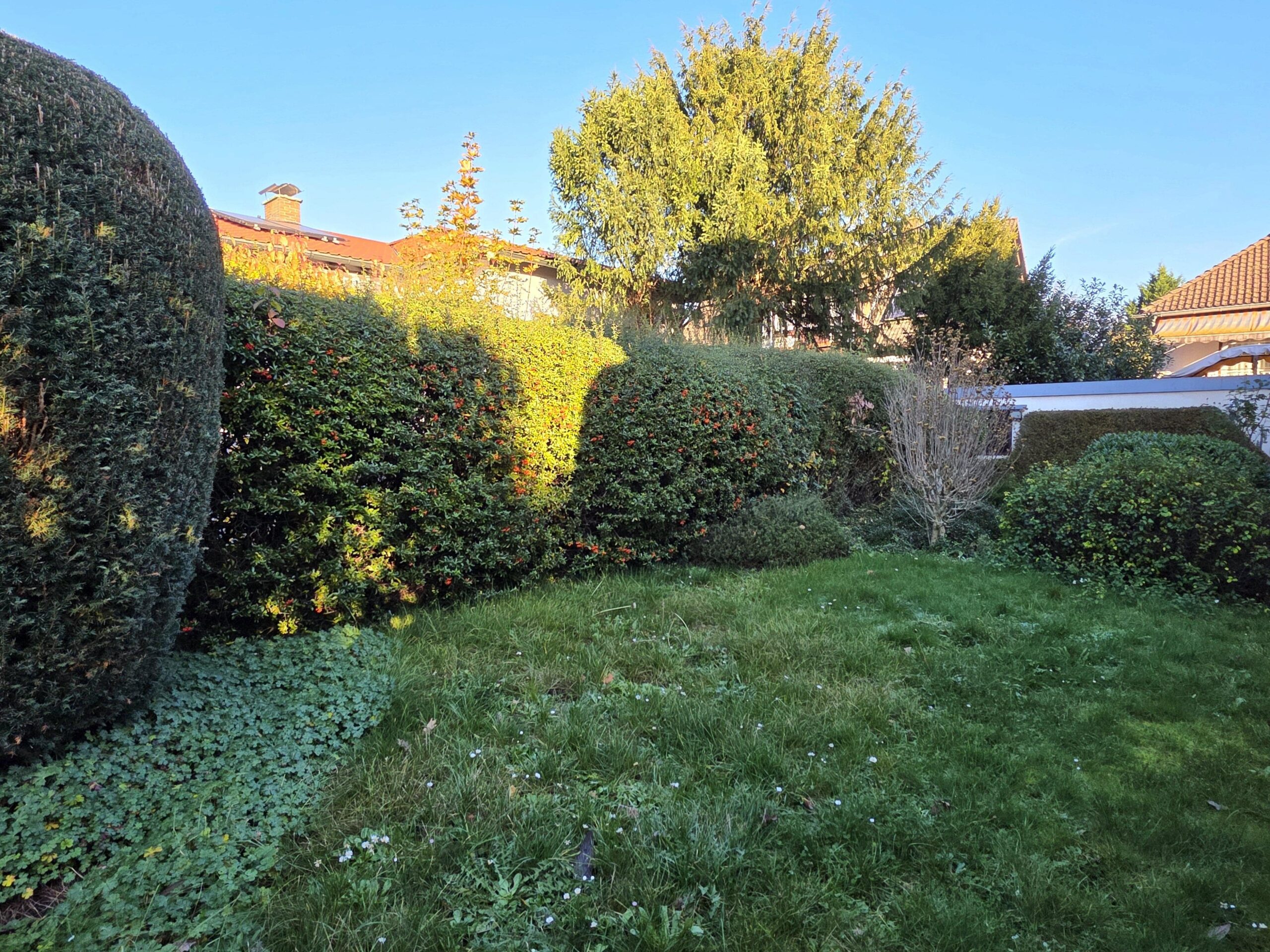 Gartenansicht von hinten