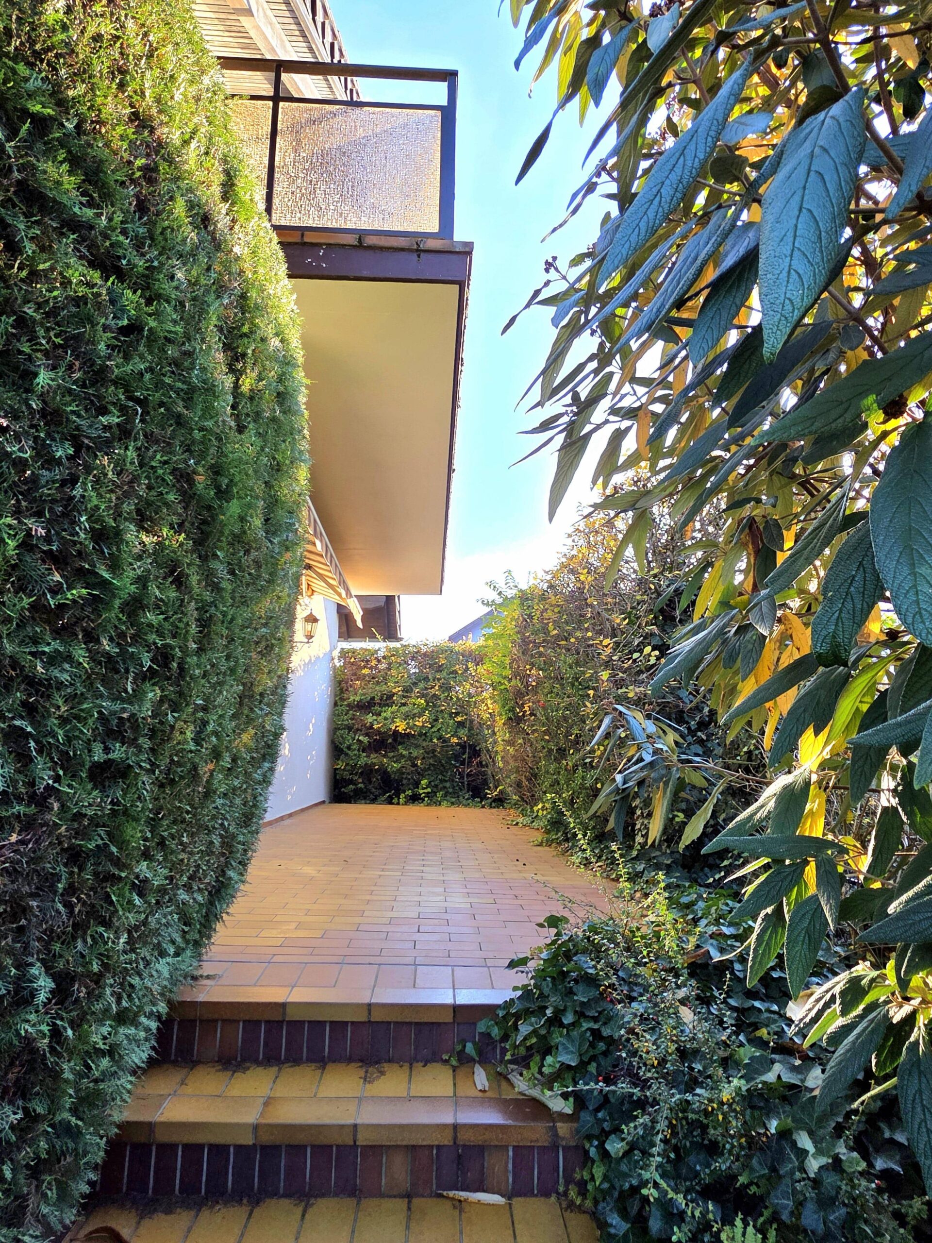 Blick vom Garten auf Terrasse