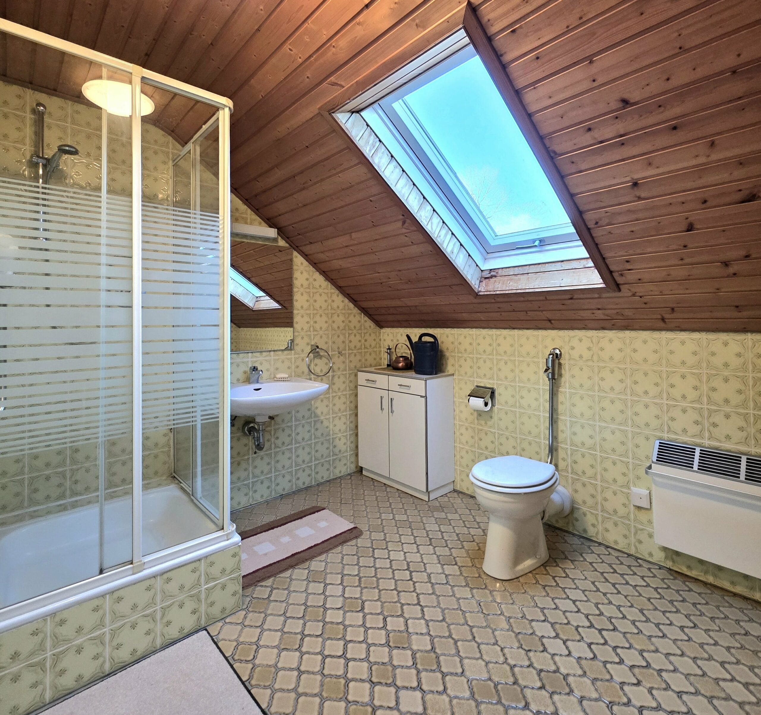 Tageslicht-Duschbad DG