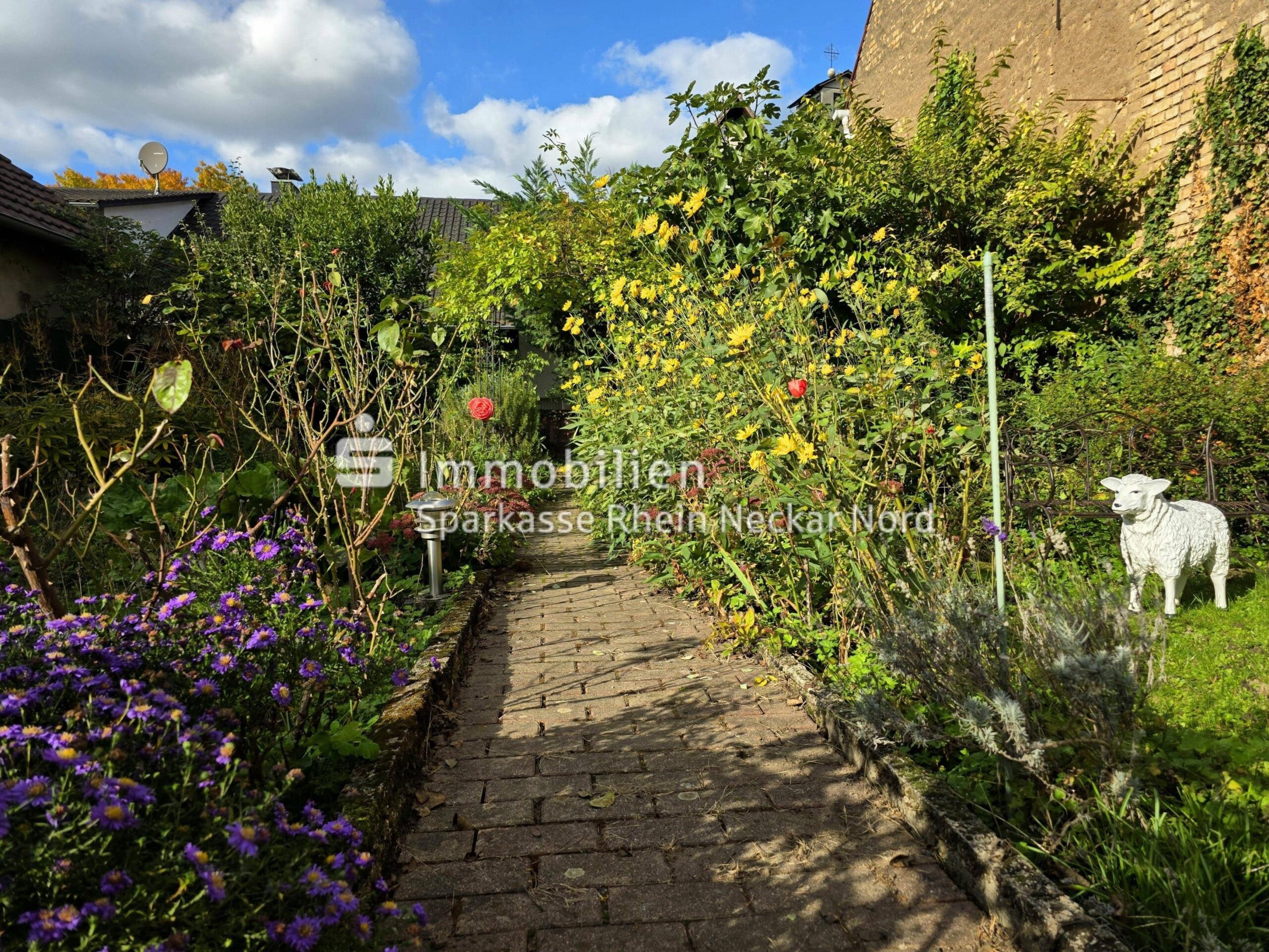 blühender Gartenweg