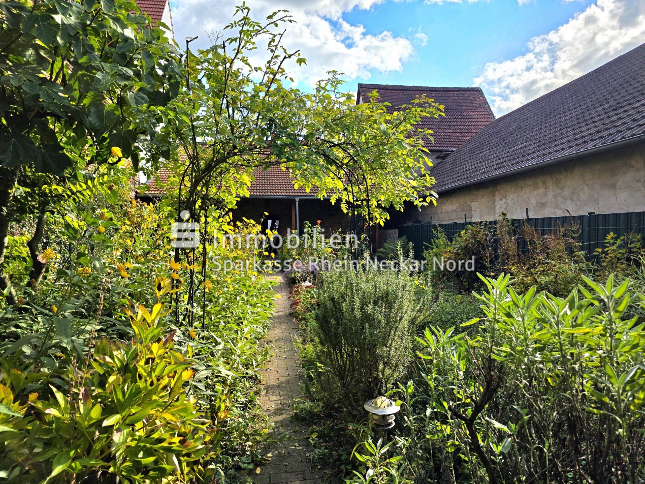 blühender Gartenweg