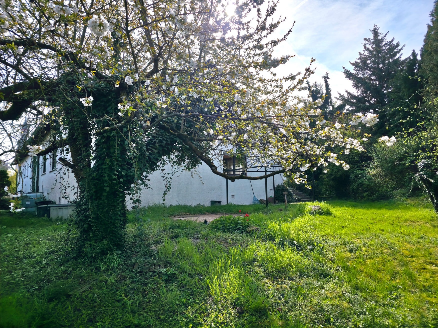 20260411_102225-1_SMALL