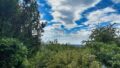 Blick Richtung Rheinebene