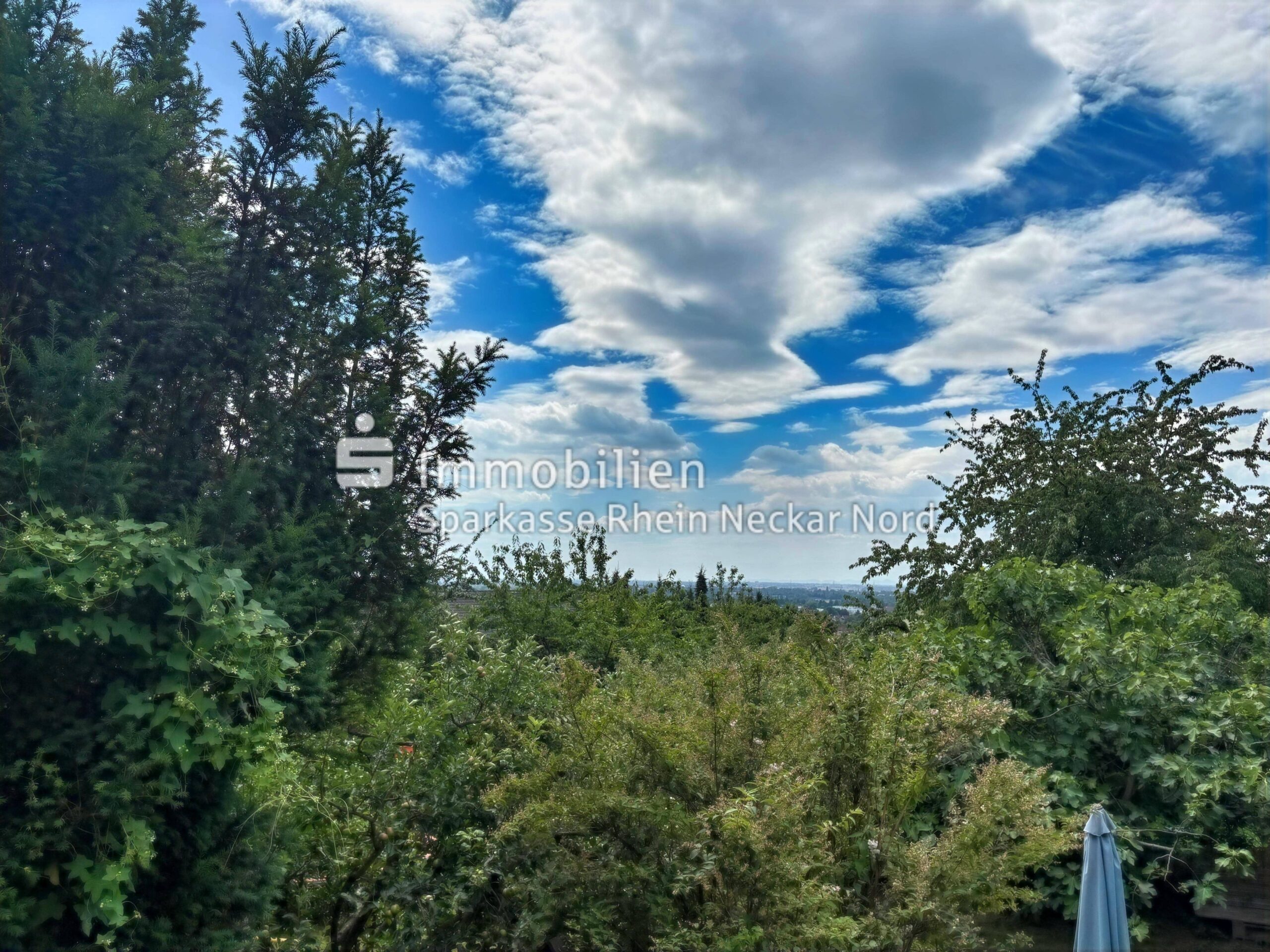 Blick Richtung Rheinebene
