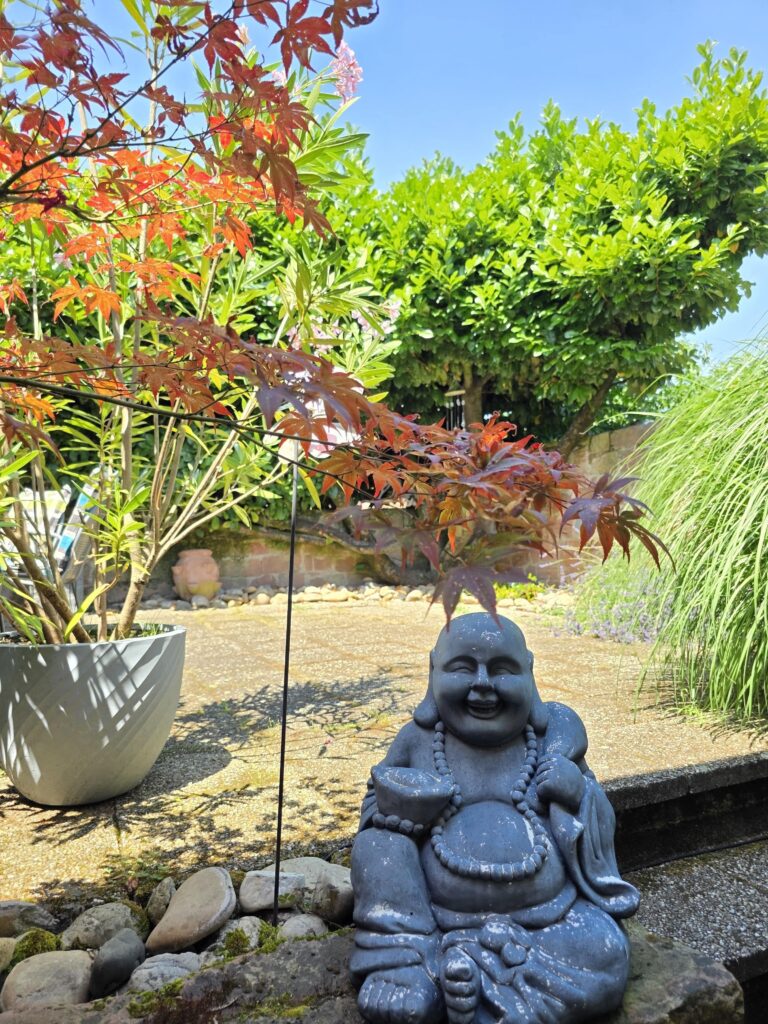 Garten von hinten