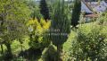 Blick über den Garten