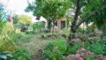 Impression d. Gartens