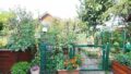 Gemüsegarten